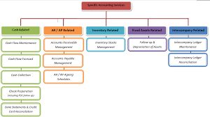 blue marin management consultantcies accounting payroll