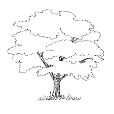 Kostenlose malvorlagen für erwachsene findest du in einer übersicht bei uns. Baum Mit Wurzeln Ausmalbild Wenn Du Mal Buch Baum Zeichnung Malvorlagen Fur Kinder