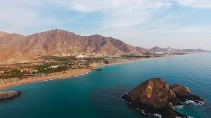 Image result for Farquharia