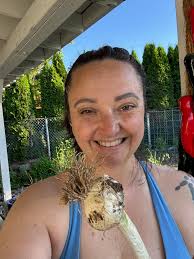Look at the size of the garlic mustard leaf!! Obviously smaller is better  for eating but never seen one so big before!