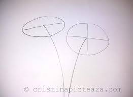 Bloc desen accademia schizzi, a4, cu spira, fabriano producator: Desen In Creion Flori In Creion Cristina Vivi Picteaza