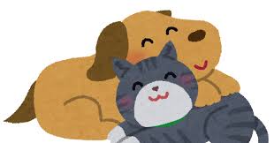 仲良しの犬と猫のイラスト | かわいいフリー素材集 いらすとや