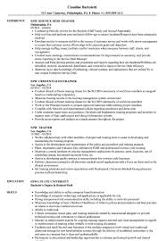 epic trainer resume samples velvet jobs