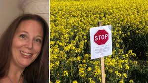 CORONA: Linda Ericssons rapsfält i Fjärås förstörs av gäster