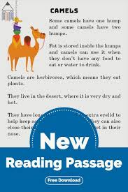 Why do camels and dromedaries have humps? Camels