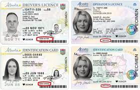 Gdl includes three steps that provide experience to improve driving skills. Driver S Road Test Alberta Ca