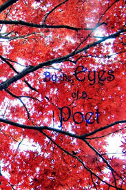 0 ответов 2 ретвитов 87 отметок «нравится». By The Eyes Of A Poet English Edition Ebook Martin H Petry Tracy A Lecates Amazon De Kindle Shop