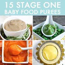 15 Stage One Baby Food Purees 4 6 Months Baby Foode Recipe Baby Food Recipes Easy Baby Food Recipes Pureed Food Recipes