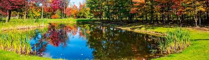 There's also a section on how to build them in 5 steps. Greenfix Lakes And Ponds