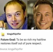 Is there anything better than. Roundup Of Elon Musk Memes That L Restore That Receding Hairline Memebase Funny Memes