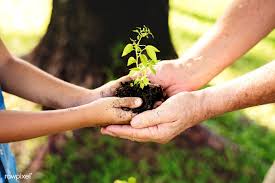  Download Premium Image Of Family Planting A New Tree For The Future 431205 Family Images Trees To Plant Plants