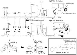 Image result for Jamesbrittenia fodina × huillana