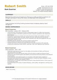 bank examiner resume samples qwikresume