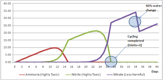 Cycling Tank Graph Betta Fish New Hobbies Graphing
