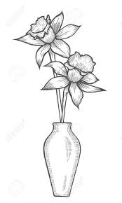 Check spelling or type a new query. Vase With Daffodil Flowers Linear Hand Drawn Vector Sketch Engraved Illustration Isolated On White Background Royalty Free Cliparts Vectors And Stock Illustration Image 97377134