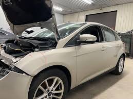 Image result for White Gold 2018 Focus