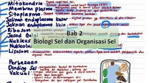Panduan buat pelajar tingkatan 5 yang bakal menduduki peperiksaan sijil… Nota Ringkas Biologi Tingkatan 4 Kssm Cute766