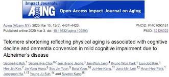 Pin On Omega 3 Aging Telomere Papers