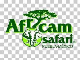 Parc safari isn't just a zoo. Africam Safari Estrella De Puebla Safari Park Parque Loro Puebla Png Clipart Africam Safari Amusement Park Gift Mexico Park Free Png Download