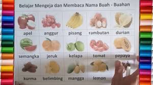 Buah memiliki fungsi membungkus dan melindungi biji. Belajar Mengeja Dan Membaca Nama Buah Buahan Dalam Bahasa Indonesia Untuk Anak Anak Youtube