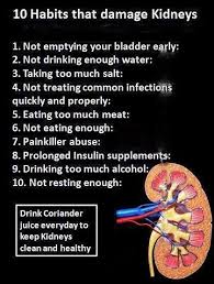 Dialysis Process In Hindi Kidney Health Kidney Friendly Renal Diet