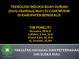 Maybe you would like to learn more about one of these? Fakultas Pertanian Dan Peternakan Uin Suska Riau Ppt Download