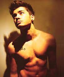 حكايات عن زين مالك قد تعرفها للمرة الأولى 14 صورة تفشي أسراره zayn malik shirtless zayn malik tumblr one direction zayn malik