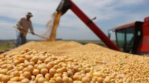 Sleepygimp Porn Comic - 100% Sketchy Stay Safe - Risky Business