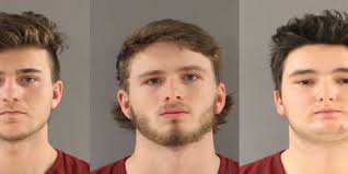 University of Tennessee dorm vandals plead guilty, avoid jail