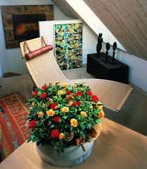 Pentru a asigura umiditatea necesară, nisipul din ghiveci se menține. Trandafirii Pitici Infloresc Mereu Hai SÄ Afli Cum Ii IngrijeÈti Adela Parvu Interior Design Blogger