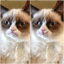 Smiling Grumpy Cat Blank Template Imgflip