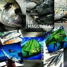 Pin By Amr El Khasab On Amr Al Khashab Fish Pet Animals Pets