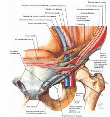 1769 x 2304 jpeg 1043kb. Http Pdf Posterng Netkey At Download Index Php Module Get Pdf By Id Poster Id 101397