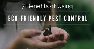 Understanding the pest factors in pest analysis. 7 Compelling Reasons To Use Eco Friendly Pest Control Techniques