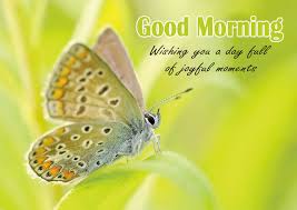 Aug 30, 2021 · step 3: Good Morning Quotes Free Download Good Morning Images Quotes Wishes Messages Greetings Ecards