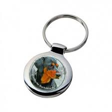 Image result for alpský brakýř jezevčíkovitý