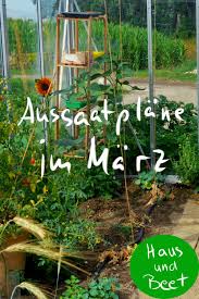 Aussaatplane Im Marz Jetzt Ist Alles Moglich Mit Bildern Garten Hochbeet Garten Anpflanzen Garten Anlegen