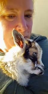 Meet the WOMAN who is the MOTHER OF GOATS🐐 from Lesotho 🇱🇸 😲