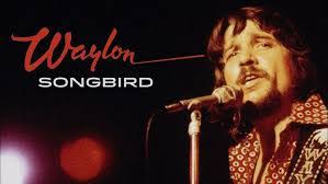 Kellie Greene's Instagram, Twitter & Facebook