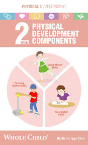 Whole Child Birth To Age Five Program For Whole Child Development Resources For Parents Babysit Physical Development Parenting Books Development