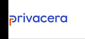 data analysis tools - Immuta Privacera governance