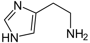 Biogene amine spielen aber auch eine wichtige rolle in der physiologie des menschen und werden vom körper selbst gebildet. Biogene Amine Histamin Weinhalle