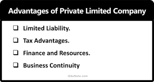 Financial management is an organic function of any business. Private Limited Company Definition Advantages Disadvantages