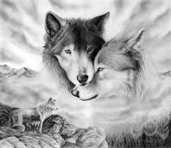 Dibujos De Lobos Dibujosdeamor Es Pareja De Lobos Amor De Lobo Lobos Enamorados