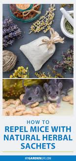 How To Repel Mice With Natural Herb Sachets Mice Repellent Diy Mice Repellent Repellent Diy