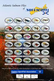 Подписчиков, 949 подписок, 844 публикаций — посмотрите в instagram фото и видео j stockard fly fishing (@jsflyfishing). Atlantic Salmon Flies Of Nova Scotia Poster Available For Sale 19 28 Inch 20 00 12 19 Inch 15 00 All Proceeds Go Direct Salmon Flies Fish Salmon Fishing