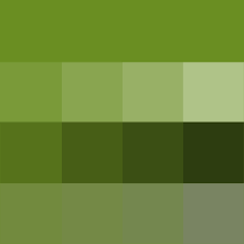 Olive Drab Hue Pure Color With Tints Hue White Shades Hue Black And Tones Hue Grey Which Interior Paint Interior Paint Colors Paint Colors