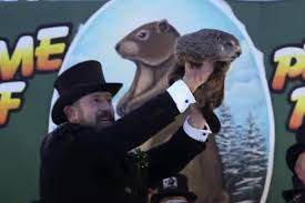 Other articles where punxsutawney phil is discussed: Qmlnvbsnxvivim