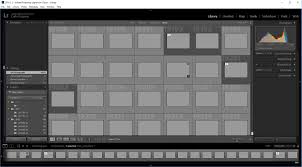 Even if you don't have any matching text descriptions and all the colors show up as white, bridge and lightroom will see the text descriptions of the label and allow. Solved Greyed Out Images In Lightroom Adobe Support Community 9747873