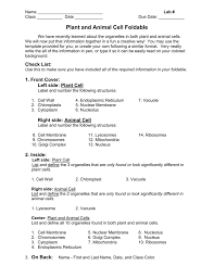 Check spelling or type a new query. Plant And Animal Cell Foldable